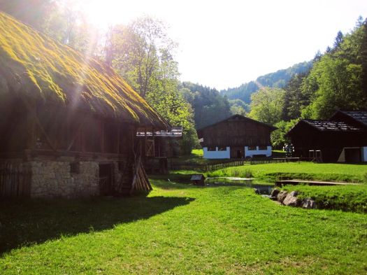 Nahrungsmittelunverträglichkeiten