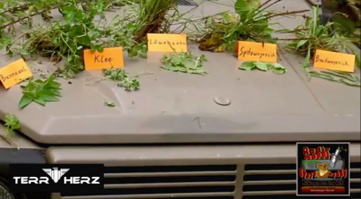 Naturheilkunde soll verboten werden